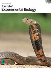 The Front of the Journal for Journal of Experimental Biology